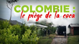 Colombie : le piège de la coca