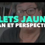 Francis Cousin : Gilets Jaunes – Bilan et perspectives – Avril 2019