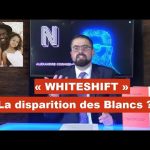 Whiteshift : La disparition des Blancs ?