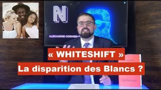 Whiteshift : La disparition des Blancs ?