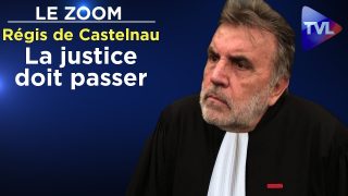 Face à l’incurie du gouvernement, la justice doit passer – Le Zoom – Régis de Castelnau – TVL