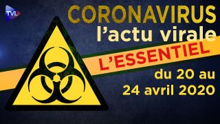 JT – Coronavirus : retour sur l’actualité du 20 au 24 avril