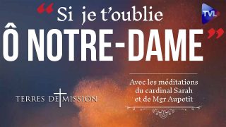 Notre-Dame : n’oublions pas ! – Terres de Mission n°169 – TVL