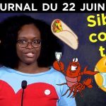 Sibeth Ndiaye : Mensonges, kebab et polémiques – JT du lundi 22 juin 2020