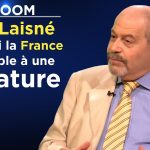 Pourquoi la France ressemble à une dictature – Le Zoom – Yves Laisné – TVL