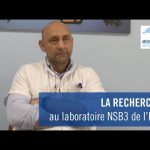 La recherche au laboratoire NSB3 de l’IHU Méditerranée Infection