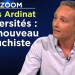 Le cancer du gauchisme intersectionnel dans les facs – Gilles Ardinat – Le Zoom – TVL