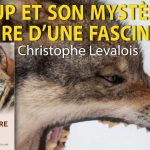 Le Loup et son mystère – Histoire d’une fascination – Christophe Levalois – Le Zoom – TVL