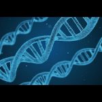 Pourquoi Google cherche-t-il à collecter votre ADN ? (sous-titres français)