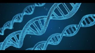 Pourquoi Google cherche-t-il à collecter votre ADN ? (sous-titres français)