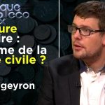 Dictature sanitaire : le germe de la guerre civile ? P-Y Rougeyron – Politique & Eco n°268 – TVL