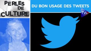 Du bon usage des tweets – Perles de Culture n°264 – TVL