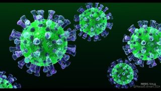 Coronavirus : Le Savoir est une Arme
