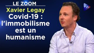 Covid-19 : l’immobilisme est un humanisme – Le Zoom – Xavier Legay – TVL