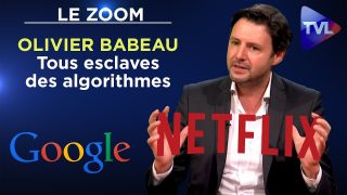 Désordre numérique : tous esclaves des algorithmes – Le Zoom – Olivier Babeau – TVL