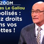 Jean-Yves Le Gallou – Diabolisés : restez droits dans vos bottes ! – Le Zoom – TVL