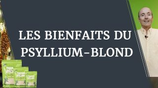 Le psyllium blond : les bienfaits santé d’une plante millénaire