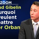 Pourquoi ils veulent abattre Viktor Orban – Le Zoom – Thibaud Gibelin – TVL