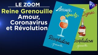 Reine Grenouille : Amour, Coronavirus et Révolution ! – Le Zoom – TVL