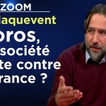 Soros, une société ouverte contre la France ? – Le Zoom – Pierre-Antoine Plaquevent – TVL
