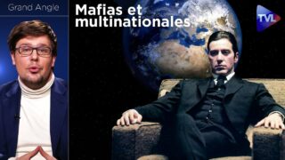 Mafias et multinationales : vers une planète bananière ? – Grand Angle (Pierre-Yves Rougeyron) – TVL