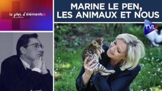 Marine Le Pen, les animaux et nous – Le Plus d’Éléments #18 – TVL