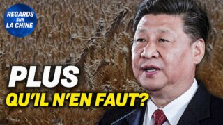 Agriculture : importations records en Chine en 2020 ; Pékin réagit à une décision de Biden