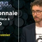 Chaos économique et revenu universel, ou monnaie libre ? – Poléco n°292 avec Benoit Lavenier – TVL