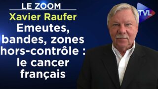 Emeutes, bandes, zones hors-contrôle : le cancer français – Le Zoom – Xavier Raufer – TVL