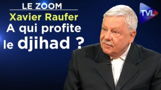 A qui profite le djihad ? – Le Zoom – Xavier Raufer – TVL