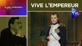 Napoléon est en nous : vive l’Empereur et mort aux c… – Le Plus d’Eléments – TVL