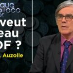 Qui veut la peau d’EDF ? – Politique & Eco n°295 avec Jean-François Auzolle – TVL