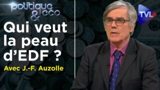 Qui veut la peau d’EDF ? – Politique & Eco n°295 avec Jean-François Auzolle – TVL
