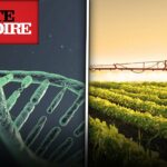 CLONAGE, OGM : Quand l’Homme joue à Dieu | Documentaire Toute l’Histoire