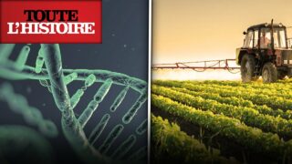 CLONAGE, OGM : Quand l’Homme joue à Dieu | Documentaire Toute l’Histoire