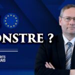 Gilles Lebreton | Union Européenne: Monstre ?