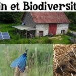 Visite du Jardin et la Biodiversité !