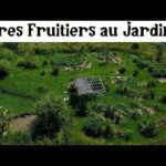 Visite du Jardin et les arbres fruitiers