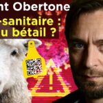 Laurent Obertone – Passe-sanitaire, vaccins : La révolte contre Macron – Le Samedi Politique