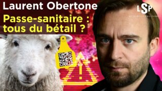 Laurent Obertone – Passe-sanitaire, vaccins : La révolte contre Macron – Le Samedi Politique