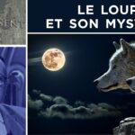 Le loup et son mystère – Passé-Présent n°313 – TVL