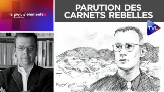 Parution des Carnets rebelles, le chef-d’œuvre posthume de Dominique Venner – Le + d’Eléments n°22