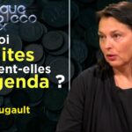 Trahison des institutions : la mort de l’Etat ? – Politique & Eco n°313 avec Valérie Bugault – TVL