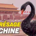 Un cygne noir visite la place Tiananmen à Pékin ; Des politiques de confinement controversées