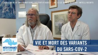 Vie et mort des variants du SARS-COV-2