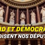 Covid et Démocratie | Que disent nos députés ?