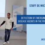 Detection of emerging tick-borne disease agents in the French Riviera
