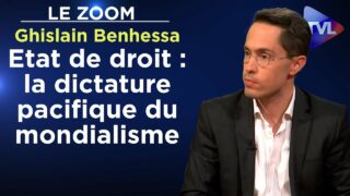 Etat de droit : la dictature pacifique du mondialisme – Le Zoom – Ghislain Benhessa – TVL