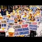 Journée internationale des droits humains – réflexion sur le prélèvement forcé d’organes