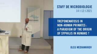 Treponematosis in non-human primates : a paradigm of the origin of syphilis in humans?